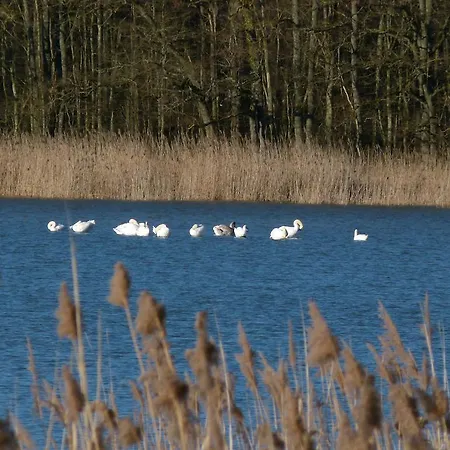 Roulotte Des Elfes - Inclus Une Seance De Sauna Gratuite Prázdninový dům Outines